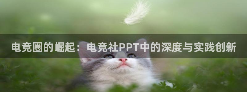 ky开元电竞：电竞圈的崛起：电竞社PPT中的深度与实践创新