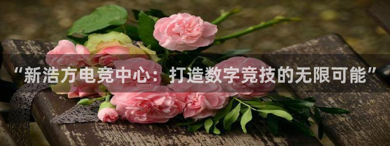 ky电竞馆：“新浩方电竞中心：打造数字竞技的无限可能”