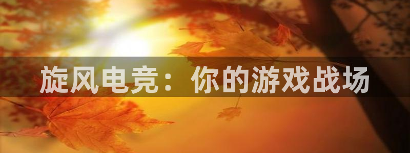 ky电竞馆：旋风电竞：你的游戏战场