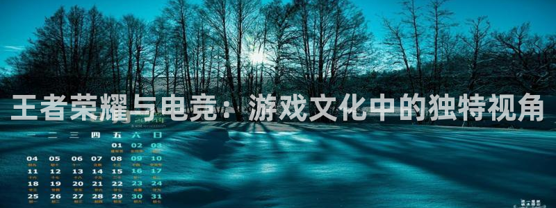 ky电竞馆：王者荣耀与电竞：游戏文化中的独特视角