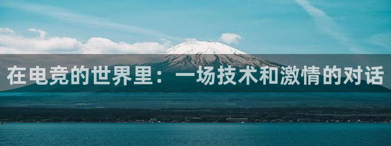 ky电竞馆：在电竞的世界里：一场技术和激情的对话