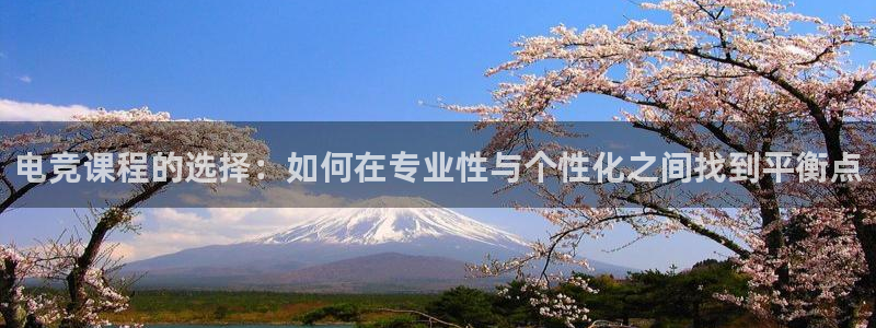 ky电竞：电竞课程的选择：如何在专业性与个性化之间找到平衡点