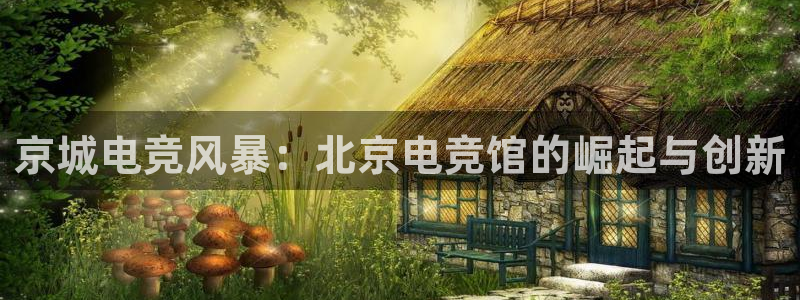 ky电竞：京城电竞风暴：北京电竞馆的崛起与创新